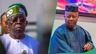 Hardship: Primary school pupil tackles Tinubu, other Nigerian leaders during debate, video trends