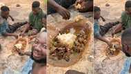 "Is this ritual or what?" Young boys dig hole inside farm, eat fufu and soup from floor, video causes stir