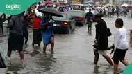 Flood alert: FG lists states in Nigeria predicted to experience heavy rainfall, mentions the days