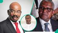 6 Nigerian billionaires’ companies join FTSE Frontier Index: Full list