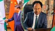 Shehu Sani reacts as Chinese seizes 2 Nigerian govt properties in UK