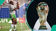 Rashidi Yekini's goal ranked among Africa’s top 6 most iconic FIFA World Cup moments