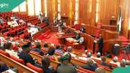 Nigerian senate reacts to bill empowering CBN to create new FX market, stabilise naira-dollar value