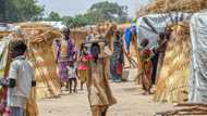 Famine alert: UN lists countries, communities at risk of acute hunger