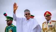 Great news as Buhari makes irresistible offers to ex-Biafran soldiers