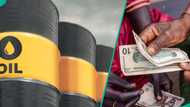 New exchange rates for naira against pound, euro, USD as oil prices rise above $75 budget benchmark