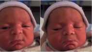 Social media users can't stop laughing as video of angry baby with funny expressions emerges online