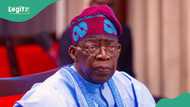 "Ka kore su": Jigon APC ya ba Tinubu lakanin gyara Najeriya