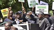 Respect your age, stop being teleguided by Dino: Tinubu's camp blasts Atiku over protest at INEC office