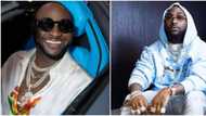 Operation DP removal, cousin's birthday, and 4 other Davido moments despite social media break
