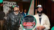 Davido unveils customised bus ahead of 5IVE American tour: "Evidence of having Igbo guys around you"
