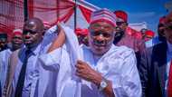 Naira Scarcity: Knocks on Buhari, Emefiele as Kwankwaso reveals how politicians get cash for campaigns