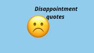 Top disappointment quotes and memes to use when you feel a little blue