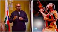 "They threatened to burn down the shrine": Femi Kuti speaks up as Peter Obi supporters come after him, family