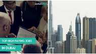 The top 5 highest paying jobs in Dubai