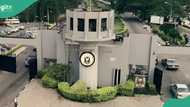 6 exceptional graduates earn full PhD scholarships at University of Ibadan convocation