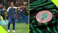 Herve Renard walks away from Super Eagles offer, NFF shifts focus to Belgian coach: report