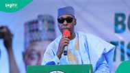 Gwamna Zulum ya ba da mamaki, ya ki tsayawa takarar sanata a 2027