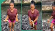 "They don't bite": Nigerian lady who is a fish farmer enters pond, catches fish with bare hands