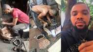"Very impressive": Drama as Ellu P crooner, Stephen Muoka is seen at his mechanic workshop, photos go viral