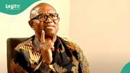 Atiku coalition: Labour Party set to expel Peter Obi, reason, details emerge