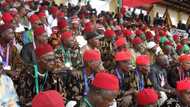 Ohanaeze reveals major reason why Igbos can’t attack Lagos