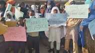 Boko Haram: Hotunan iyalan 'yan canji da aka kama yayin da suka fito zanga-zanga a Kano