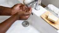 Five hygiene habits every family should practice daily