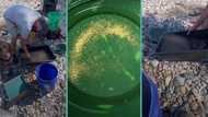 Leaked video shows secret spot where miner finds pure gold: "It costs a whole lot"