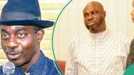 Tribunal Judgements: Full list of senators that’ll face supplementary polls