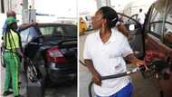 Fuel Subsidy Removal: Get Ready to Buy Petrol at N600 Per Litre, Stakeholders Warn Nigerians