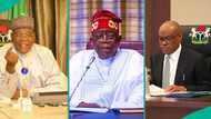 'Tinubu zai kori Wike,' Sule Lamido ya fito da bayanai kan ministan Abuja