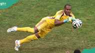 “Congratulations”: Sweet video emerges of players celebrating with Enyeama as 'French club promoted'