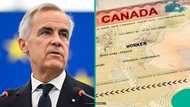 Canada lists 11 categories of foreigners exempt from employer-specific work permit processing fee