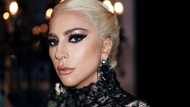 Interesting facts about the American pop star Lady Gaga