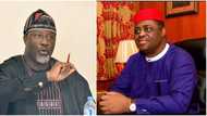 PDP Crisis: 'Fani-Kayode, devil resides in your heart', Dino Melaye fires back at ex-minister