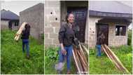 "Omo onile asked me for receipt": Humble Nigerian lady uses head to take planks to her building site in video