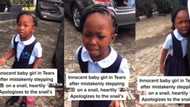 “I am sorry snail”: Innocent girl in tears after mistakenly stepping on a snail, heartily apologizes in video