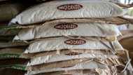 Japan rice prices double, raising pressure on PM