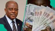 No more N1,600/$: CBN governor Cardoso speaks as naira hits two-month high