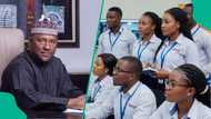 Apply now: BUA Foods opens 2026 graduate trainee program in agribusiness