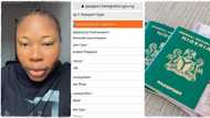 "Nigerian passport for N26k": Lady gets her passport without stress after applying online