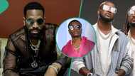 Man hails Wizkid for Shallipopi's success after meeting Travis Scott: "D'banj, Psquare paved d way"