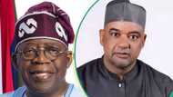 Nigeria at 64: PDP reacts to Tinubu’s Independence Day speech, “There is no hope in sight”