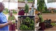 Slain late Dora Akunyili's husband buys all old woman's plantains in old video, she sings and dances in public