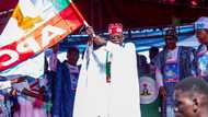 Abin da Tinubu Ya Gani, Ya Dauko Shettima a Matsayin Abokin Takaransa – Kungiya