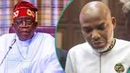 “Release Nnamdi Kanu unconditionally”: Reps begs President Tinubu, gives reason