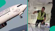 Panic as snake suddenly appears on plane, photo, video go viral