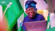 Just In: Tinubu speaks on reviewing Nigeria’s constitution, details emerge