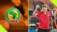 Gernot Rohr slams CAF after Benin arrived in Libya for crucial AFCON qualifier